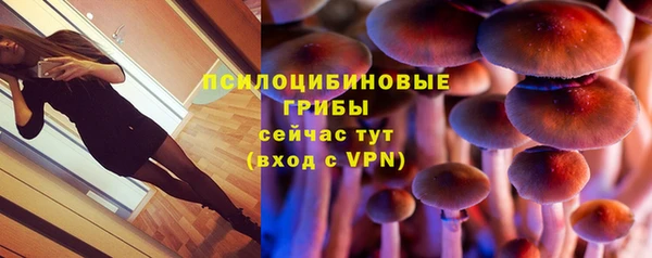 apvp Балабаново