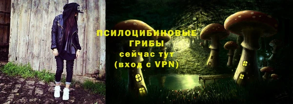 apvp Балабаново