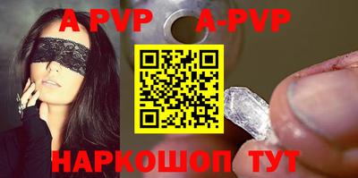 спиды Кингисепп