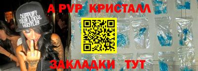 спиды Кингисепп