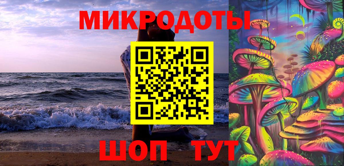 Псилоцибиновые грибы Psilocybine cubensis  Кудымкар 