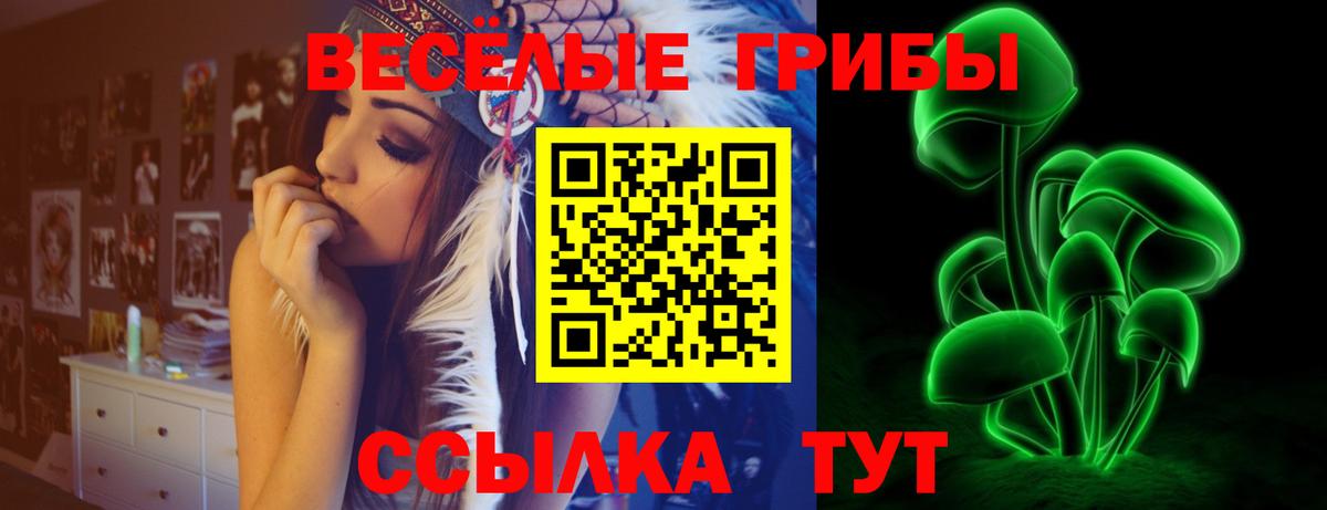 Псилоцибиновые грибы MAGIC MUSHROOMS Кудымкар